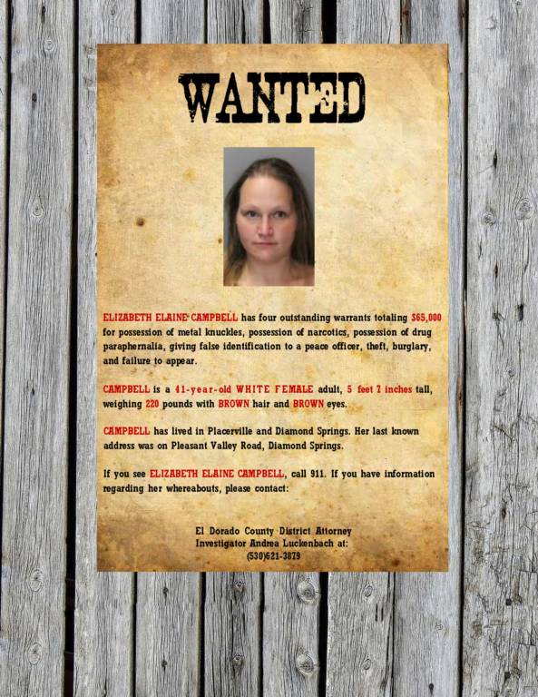 campbell poster