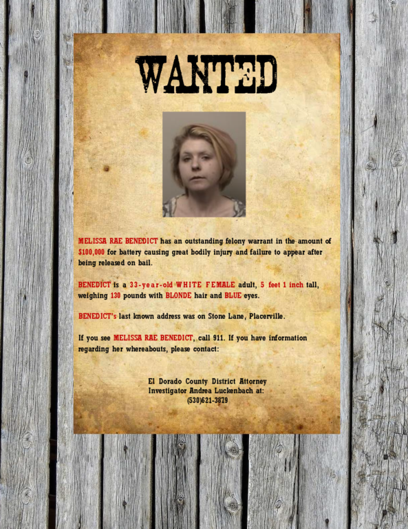 melissa poster